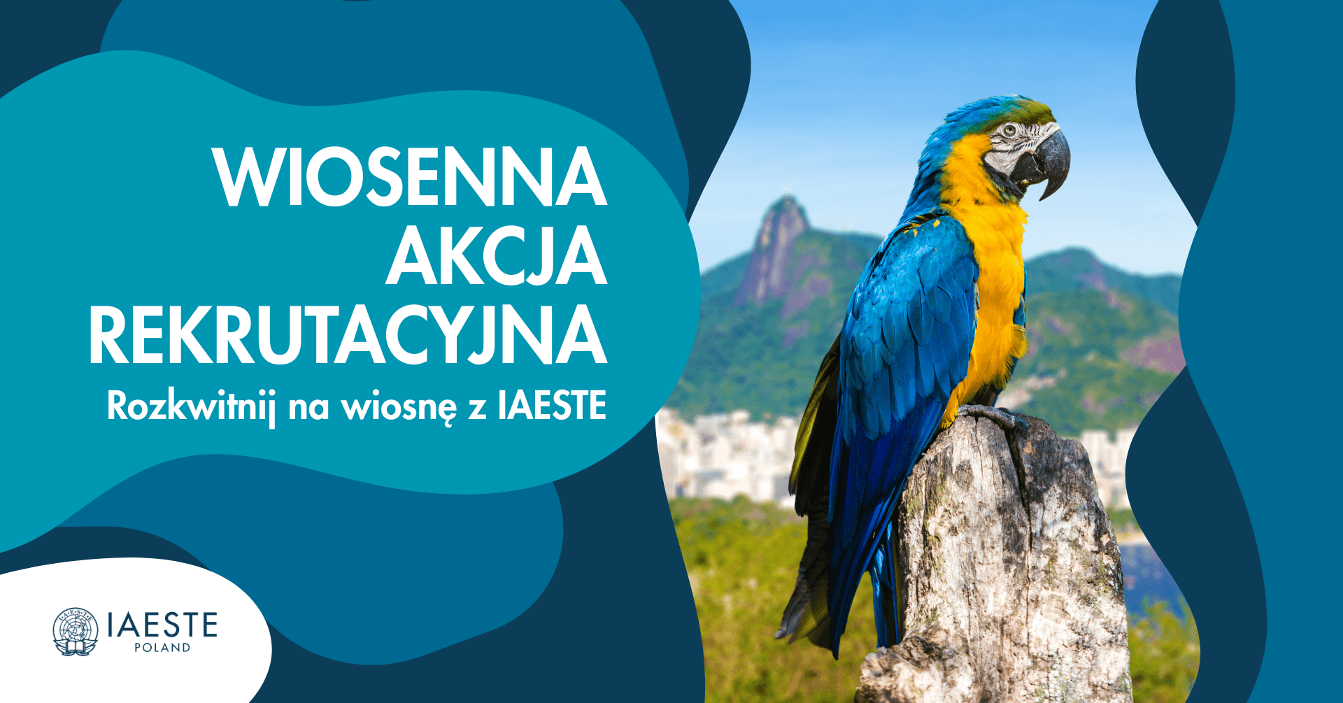 🌸 Rozkwitnij na wiosnę z IAESTE - Wiosenna Akcja Rekrutacyjna 2026🌸
